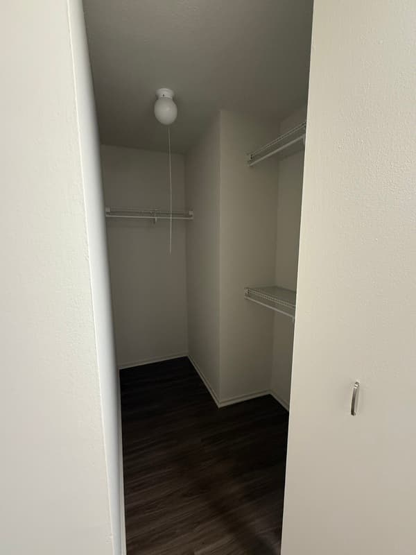 Chicago Condo: 1154 n dearborn st