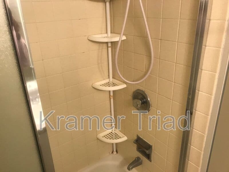 Ann Arbor Condo: 555 E William