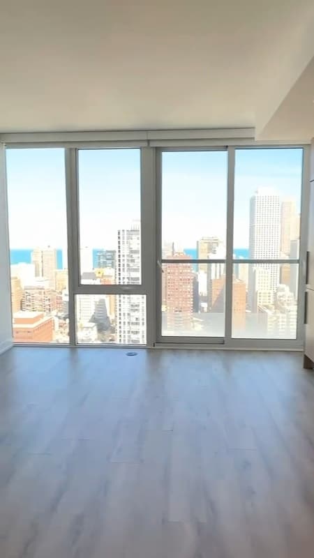 Chicago Condo: 220 W Hill St