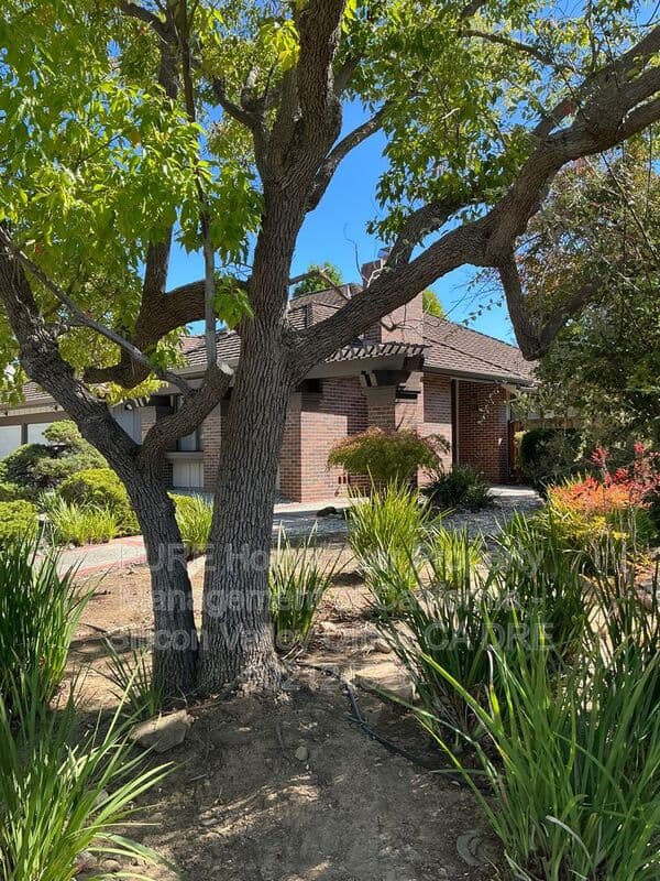 Cupertino House: 10180 Byerly Ct