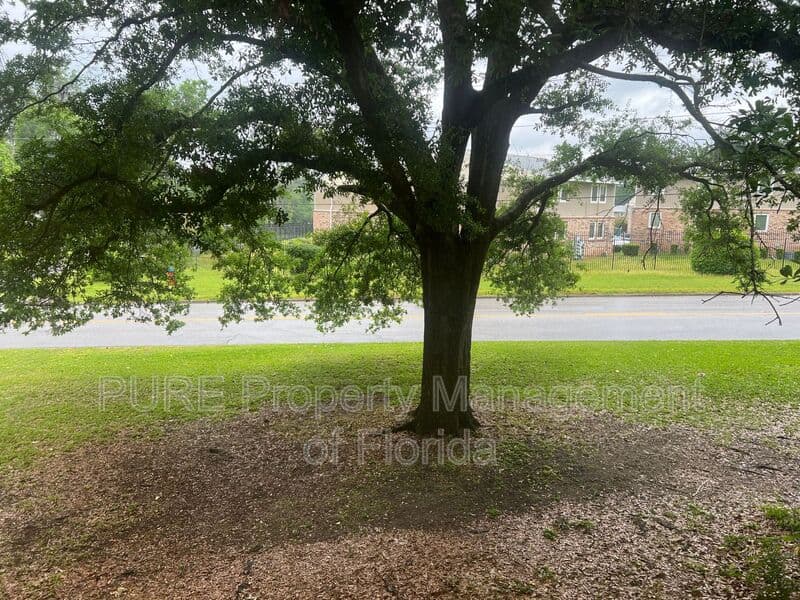 Ocala House: 629 NE 28th Avenue
