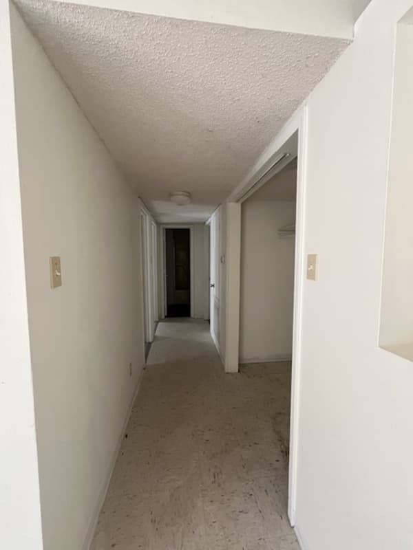 Austin House: 20 Opal Mae
