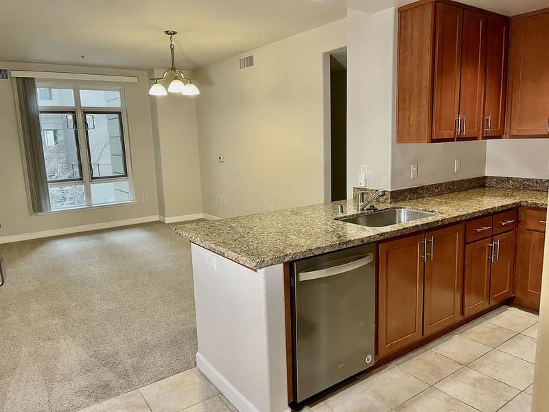 Oakland Condo: 423 7th St