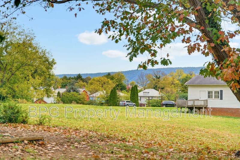 Woodstock Condo: 204 N Muhlenberg St