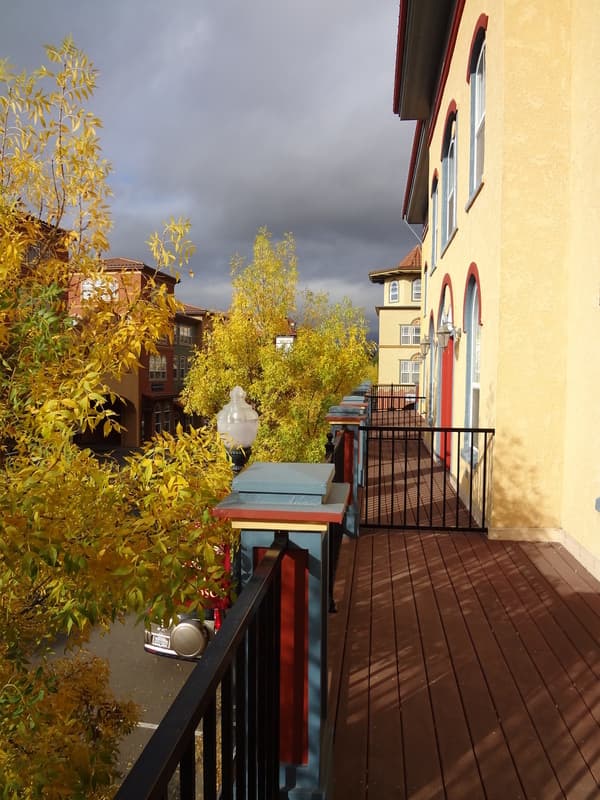 Windsor Condo: 966 McClelland Drive