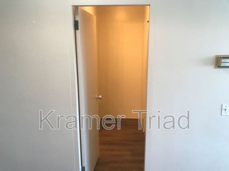 Ann Arbor Condo: 555 E William