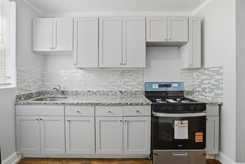 Chicago Condo: 7816 South Cornell Avenue - 7824-#1E