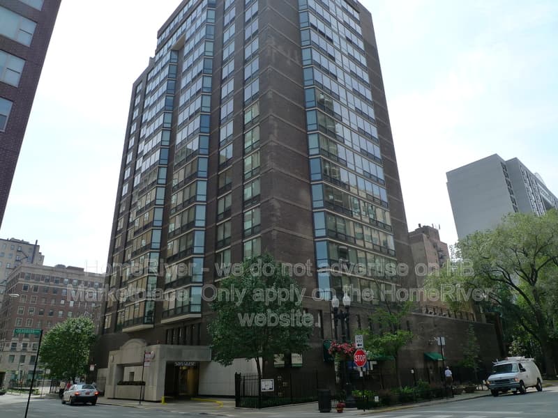Chicago Condo: 21 W Goethe St