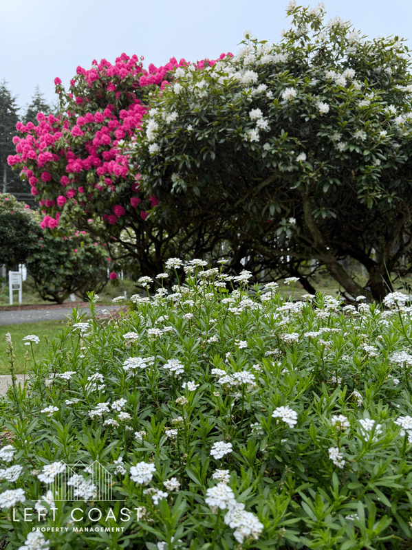Depoe Bay Condo: 2050 U.S. 101 #11
