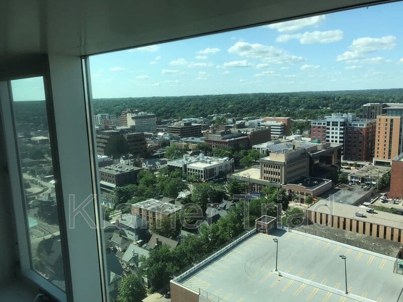 Ann Arbor Condo: 555 E William