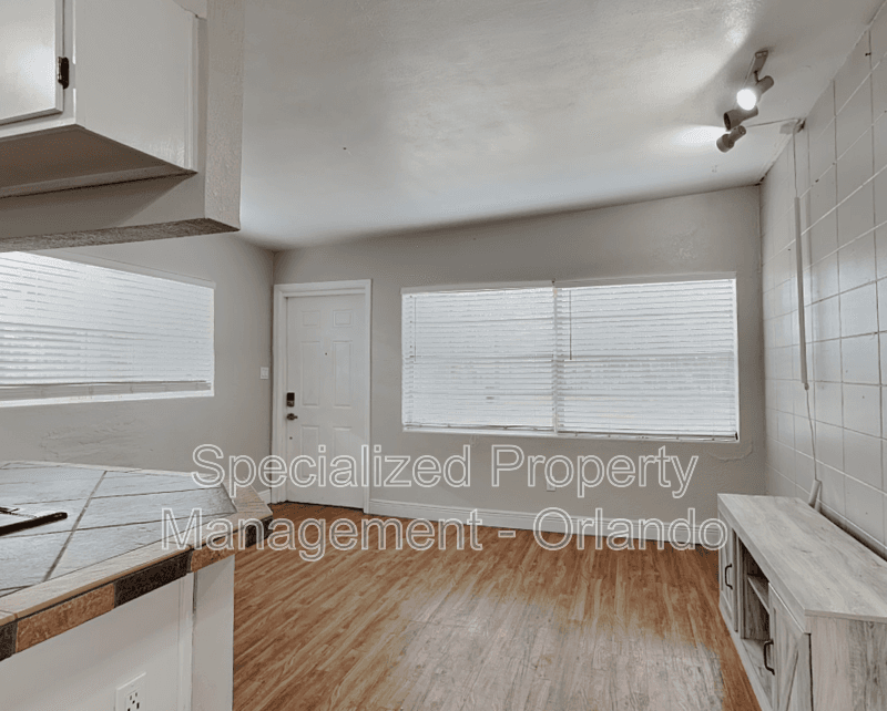 Orlando Condo: 313 S Lawsona Blvd