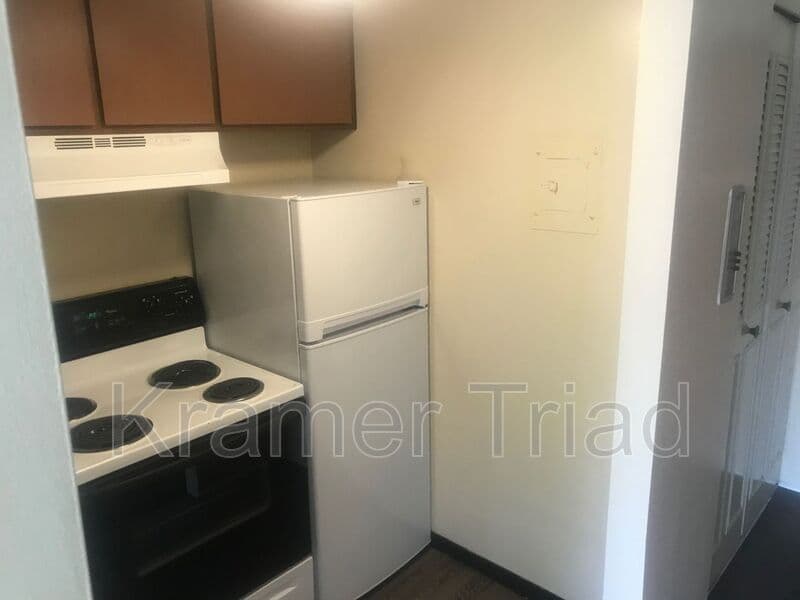 Ann Arbor Condo: 555 E William