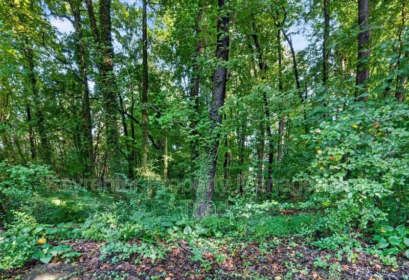 Greensboro House: 3607 McCuiston RD