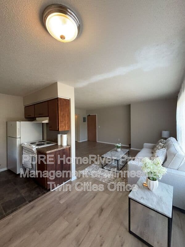 Minneapolis Condo: 1500 10th Ave S