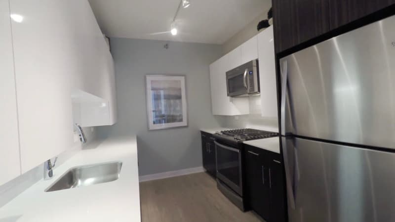 Chicago Condo: 207 N Garland Ct