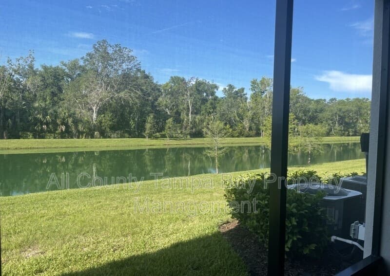 Lutz Townhome: 26122 Fantasy Sky Lane