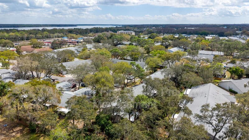 Tarpon Springs House: 39650 US 19 N