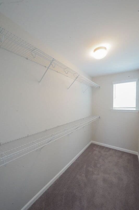 Savannah House: 165 Greyfield Circle