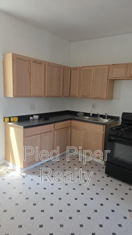 Chicago Condo: 5621 South Elizabeth Street - 1