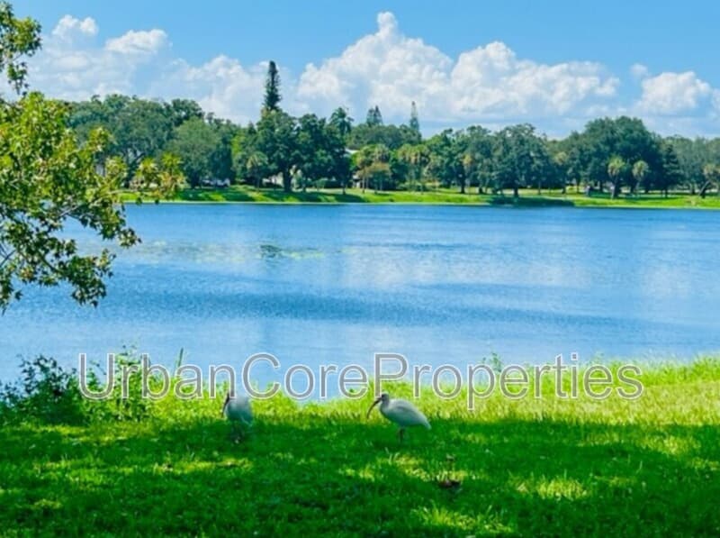 St. Petersburg Condo: 1527 5th St N