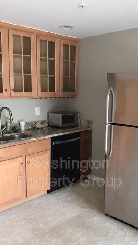 Capitol Heights House: 706 Rollins Ave Basement