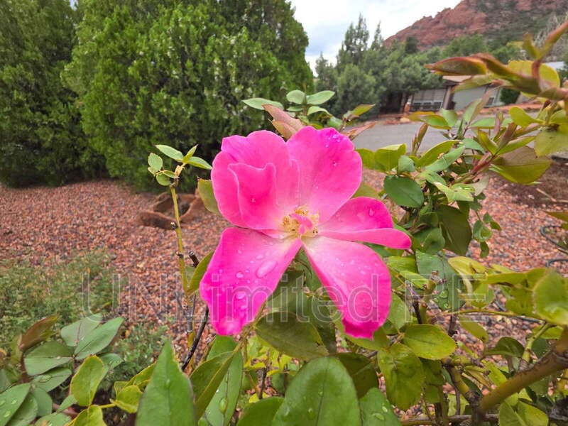Sedona House: 60 Meander Way