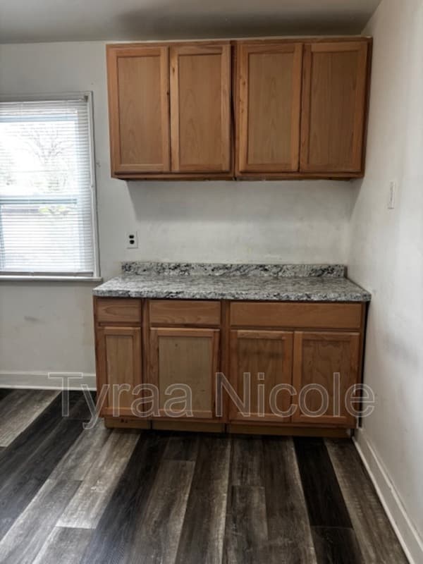 Detroit House: 14284 Cruse Street