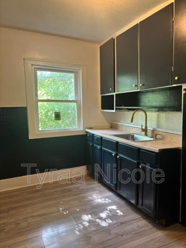 Detroit House: 15327 Snowden Street