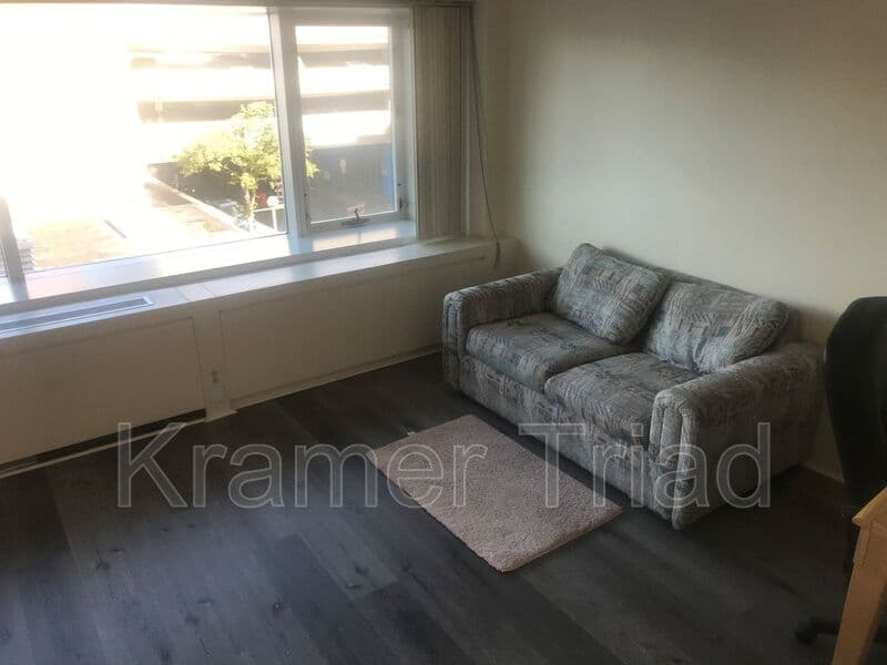 Ann Arbor Condo: 555 E William
