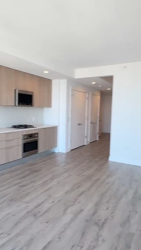 Chicago Condo: 220 W Hill St