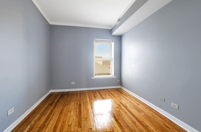 Chicago Condo: 7255 South Calumet Avenue - 356 E 73rd, #2
