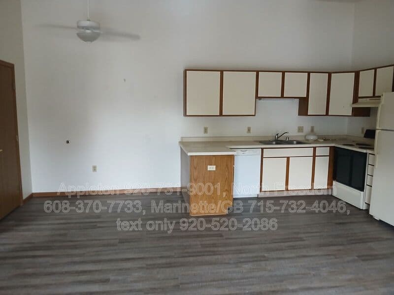 Marinette Condo: 907 Madison Ave. #3