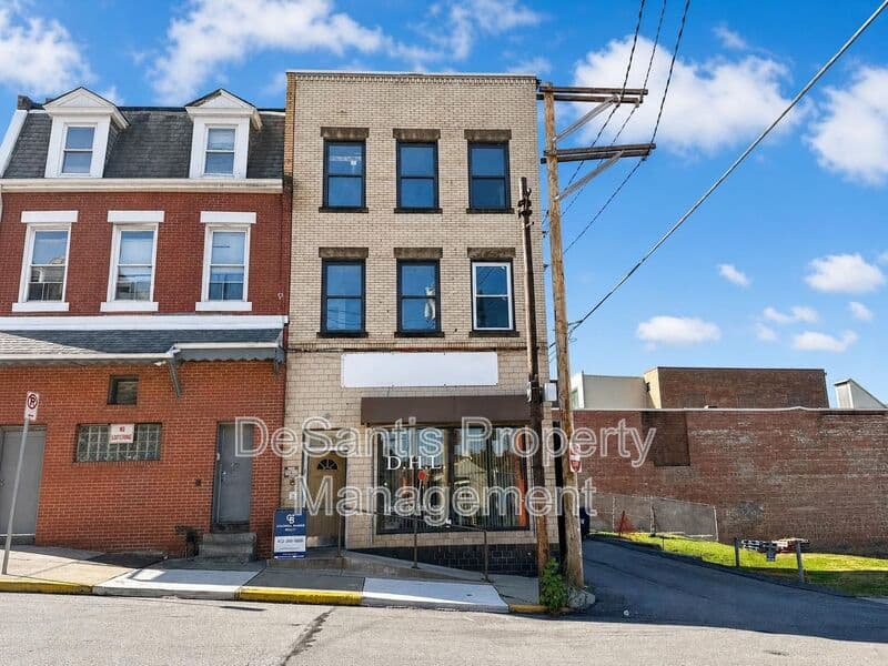 Homestead Condo: 810 Amity Street