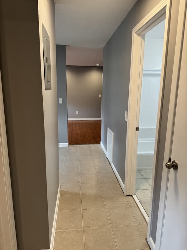 Monticello Condo: 705 E 3rd St #4