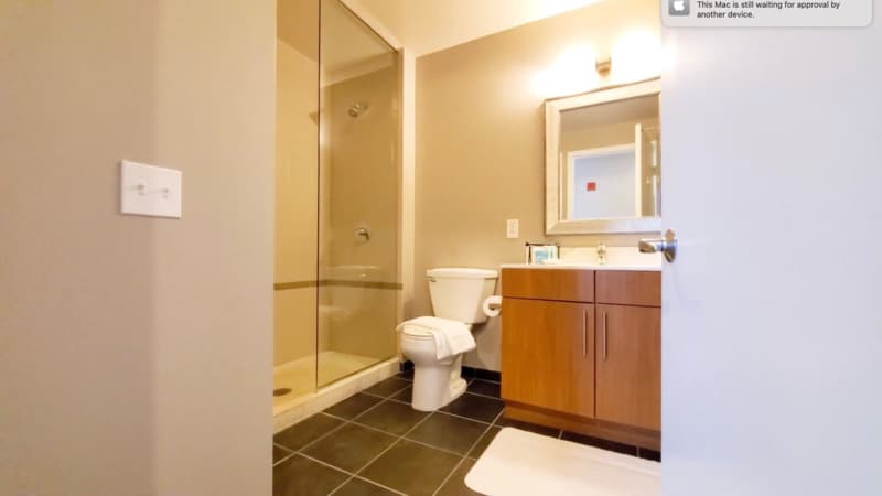 Chicago Condo: 501 N State St