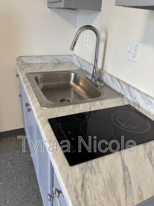 Detroit Condo: 8733 Elmira Street