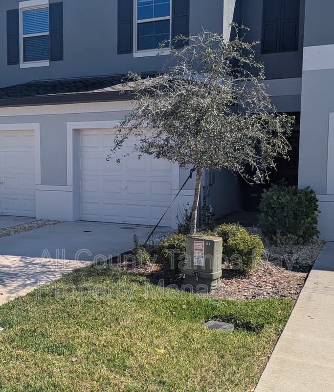 Lutz Townhome: 1514 Cassius St