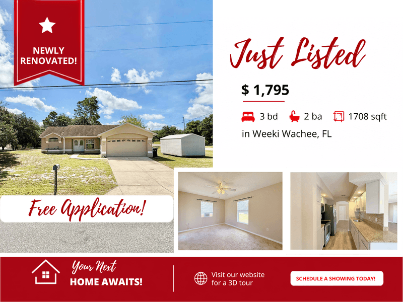 Weeki Wachee House: 10300 Noddy Tern Road
