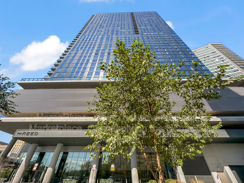 Chicago Condo: 234 W Polk St