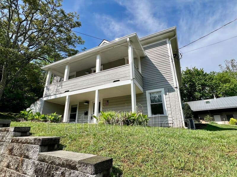 Asheville Condo: 20 Rector St