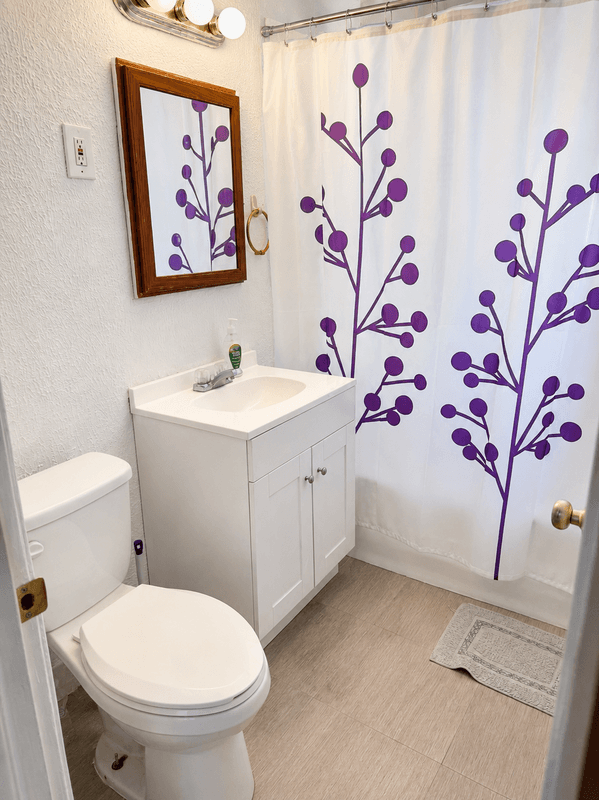 Detroit House: 14877 Lesure Street