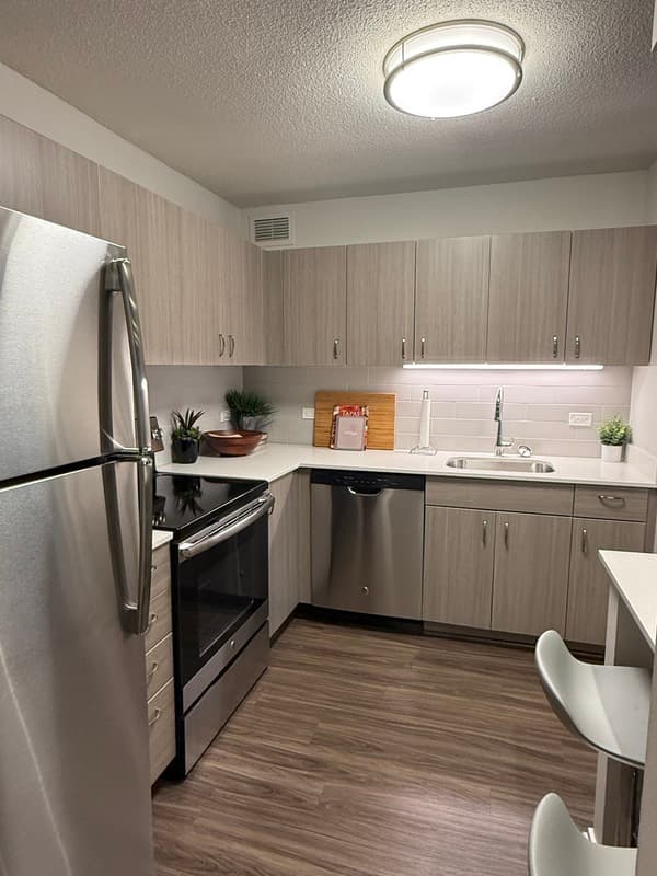 Chicago Condo: 1135 N Dearborn St