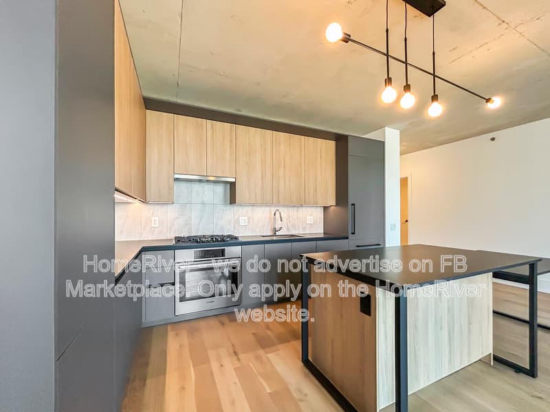Chicago Condo: 234 W Polk St