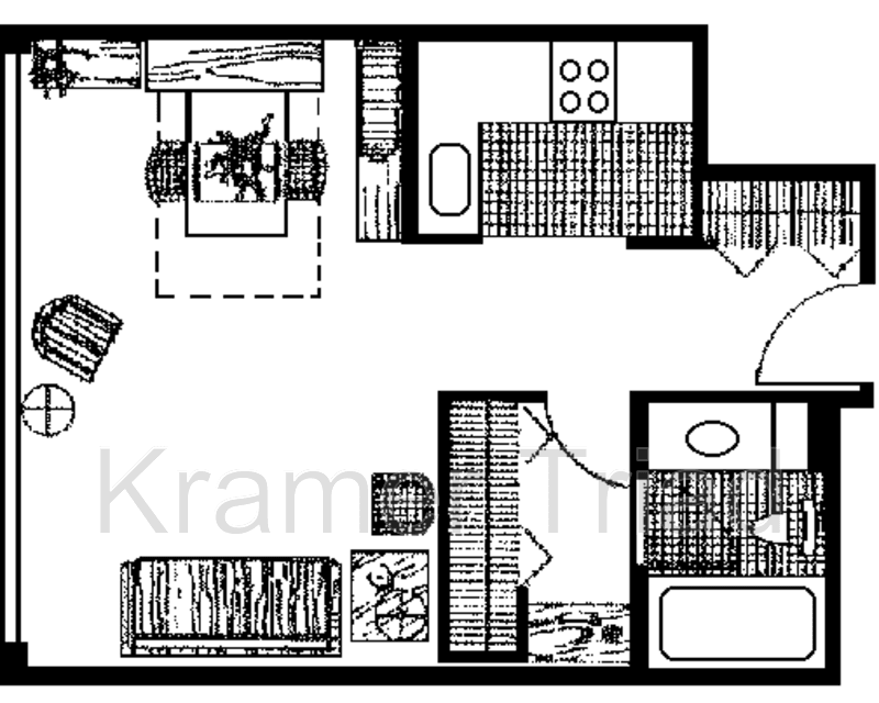 Ann Arbor Condo: 555 E William