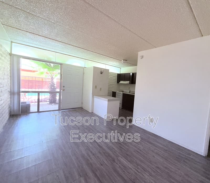 Tucson Condo: 20 North Leonora Avenue - 113