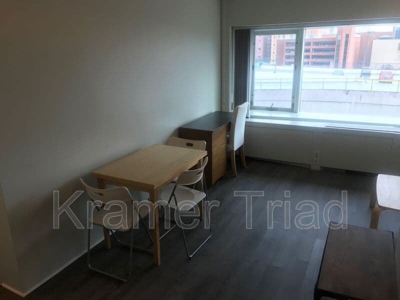 Ann Arbor Condo: 555 E William