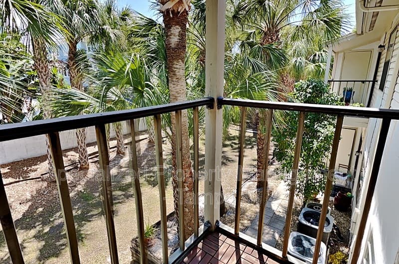 Tampa Condo: 3102 W Horatio St