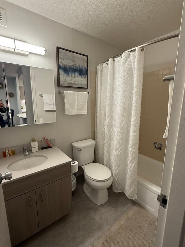 Chicago Condo: 1135 N Dearborn St