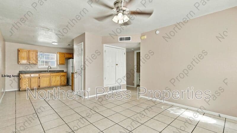El Paso Condo: 216 S Schutz