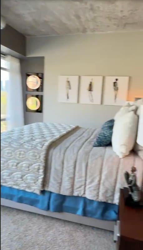 Chicago Condo: 741 S Clark St.